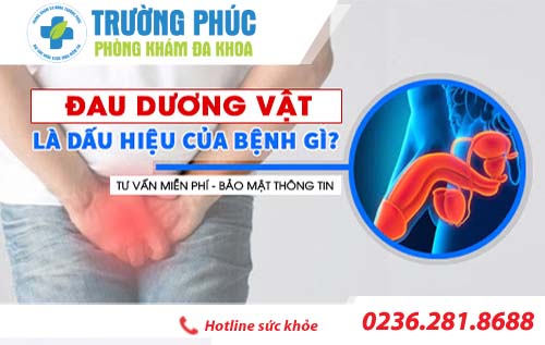 Đau dương vật có sao không?