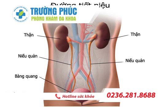 Lí do nào khiến đàn ông mắc bệnh viêm bàng quang ?