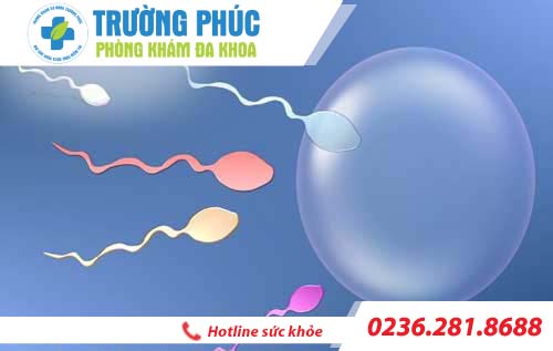 Bệnh ít tinh trùng có gây vô sinh không?