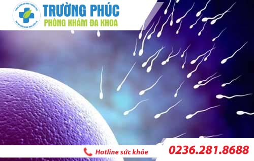 Cách cải thiện tinh trùng yếu - lời khuyên từ các chuyên gia