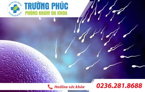Chất lượng tinh trùng thế nào là tốt? Bác sĩ nam khoa tư vấn