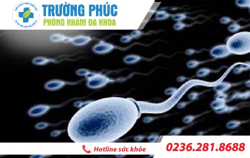 chat luong tinh trung the nao la tot bac si nam khoa tu van 
