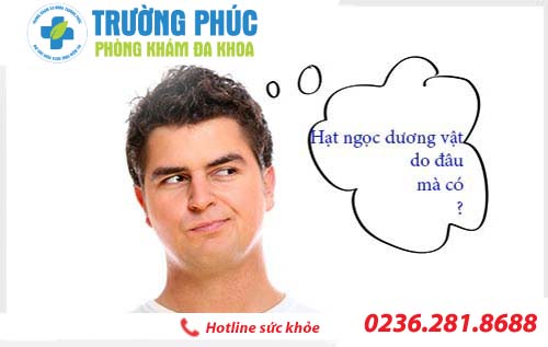 Chuỗi hạt ngọc dương vật là gì?