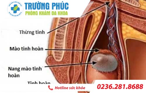 Điểm mặt những căn bệnh viêm nhiễm nam khoa thường gặp