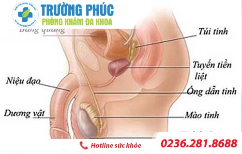 dieu tri viem mao tinh hoan bang cach nao