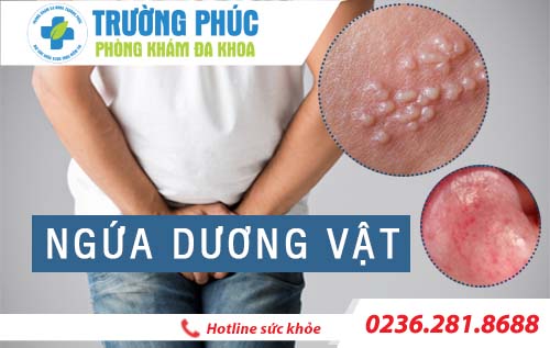 Tìm ra nguyên nhân gây ngứa dương vật mà nhiều nam giới gặp phải