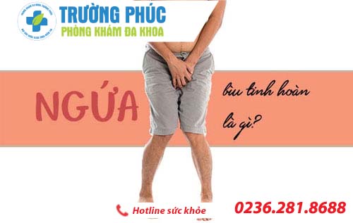 Nguyên nhân và cách điều trị ngứa tinh hoàn ở nam giới