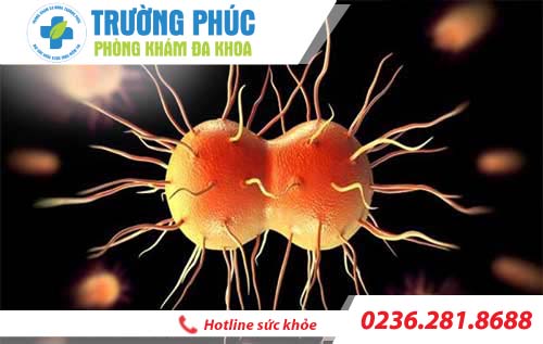 Nguyên nhân gây viêm tinh hoàn nam giới nên biết