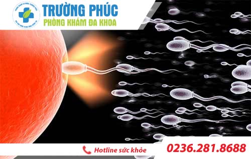 nguyen nhan tinh trung co mui hoi