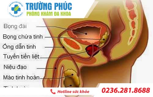 Nhận biết triệu chứng của viêm mào tinh hoàn