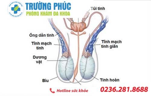 Sưng vùng bìu - Triệu chứng nguy hiểm chớ nên bỏ qua