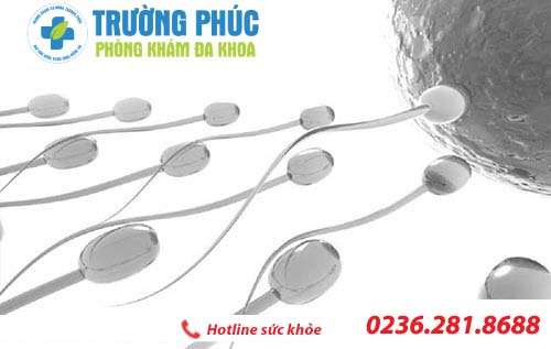 tac hai cua hien tuong mong tinh