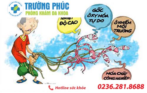 tăng chat luong tinh trung bac si chuyen khoa tu van