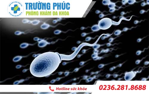 tim hieu ve benh gian tinh mach tinh hoan