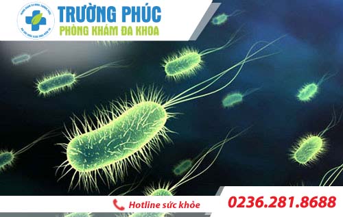tinh trang viem duong vat o nam gioi