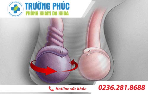 Tinh hoàn nhỏ có ảnh hưởng gì không?