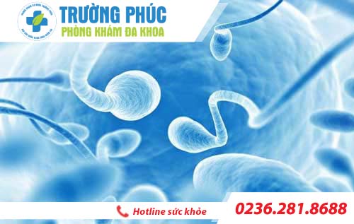 Tinh trùng loãng có gây vô sinh không?