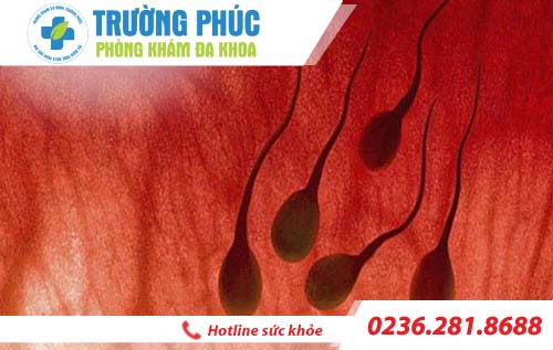 Trị xuất tinh ra máu ở đâu đáng tin cậy?