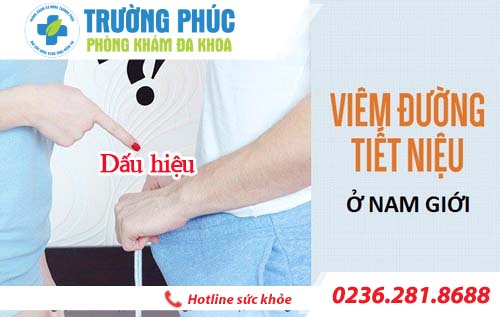 Triệu chứng viêm đường tiết niệu và cách chữa trị